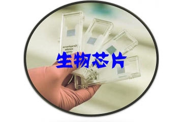 生物芯片行业技术开展水平分析（附报告目录）