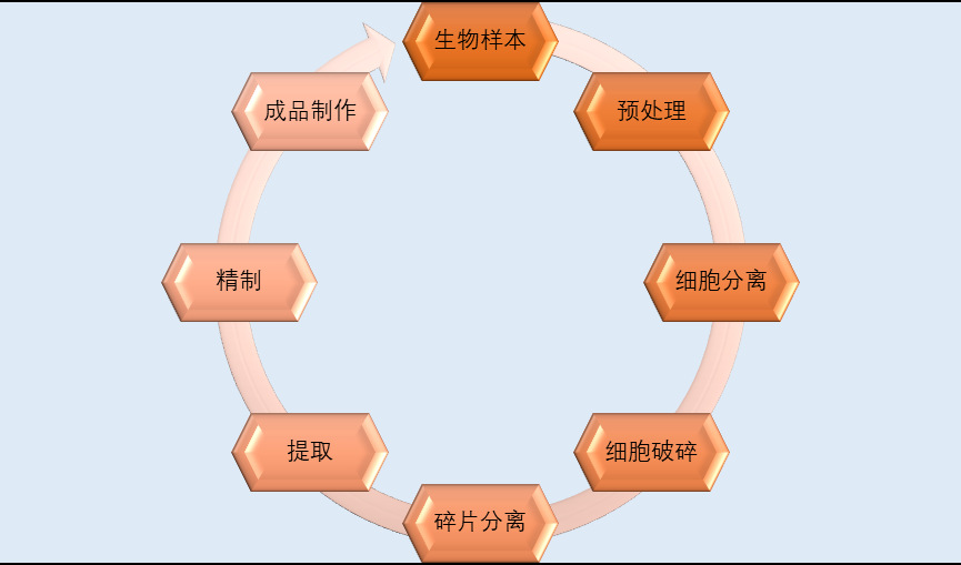 2020-2026年中国生物科研仪器行业投资前景专项报告(图1)