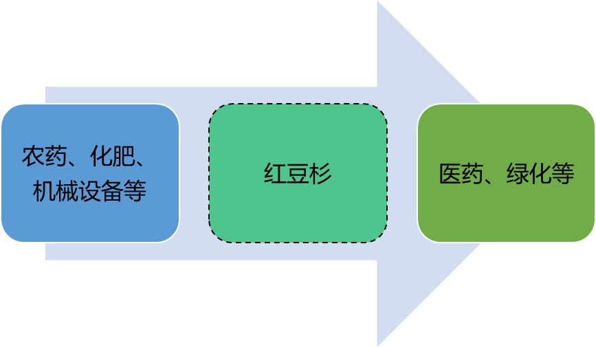 2020-2026年中国红豆杉种植及加工业前景预测报告(图1)
