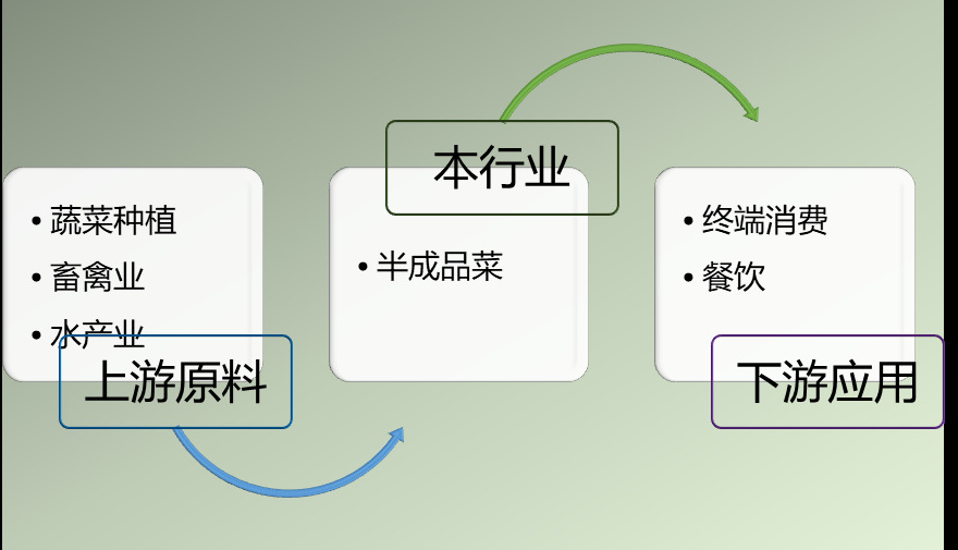 2020-2026年半成品菜行业市场调查与前景预测报告(图1)