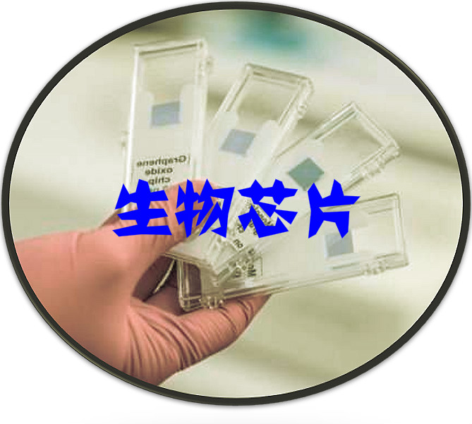 2020-2026年中国生物芯片产业链开展情况及投资可行性研究报告(图1)